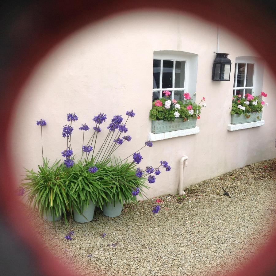 Newton Cottage Porthcawl Kültér fotó