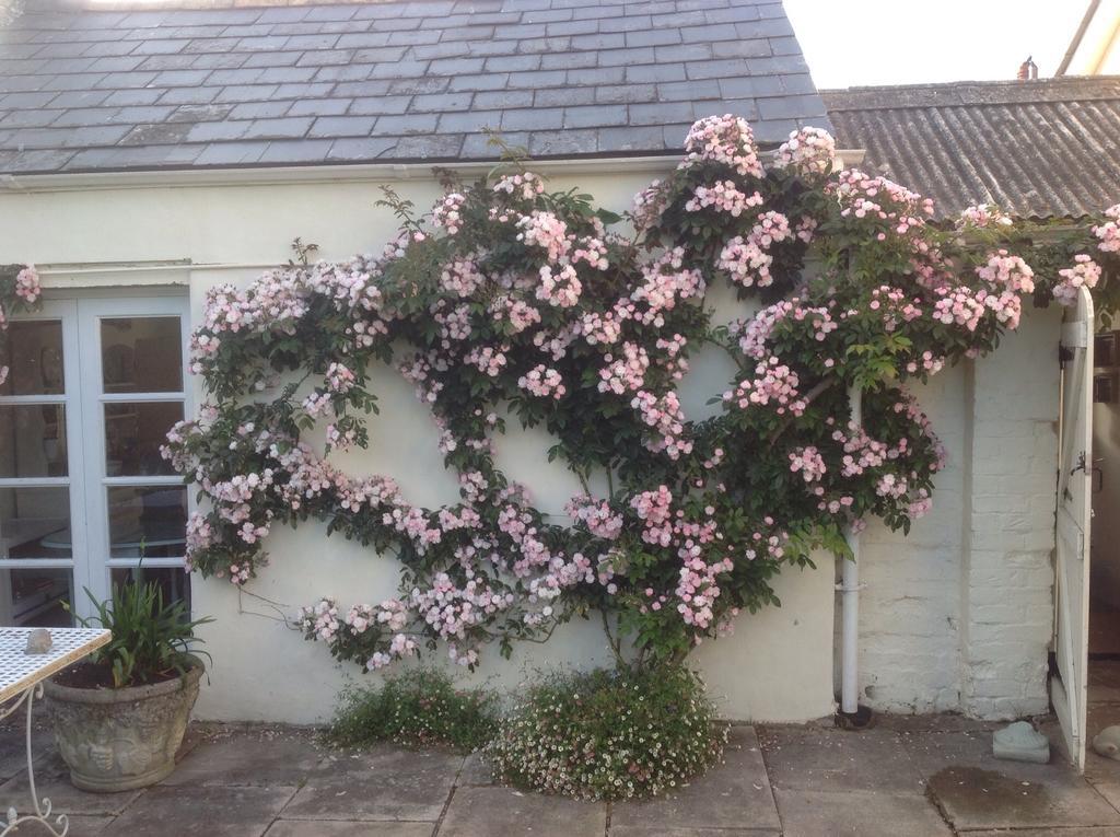 Newton Cottage Porthcawl Kültér fotó